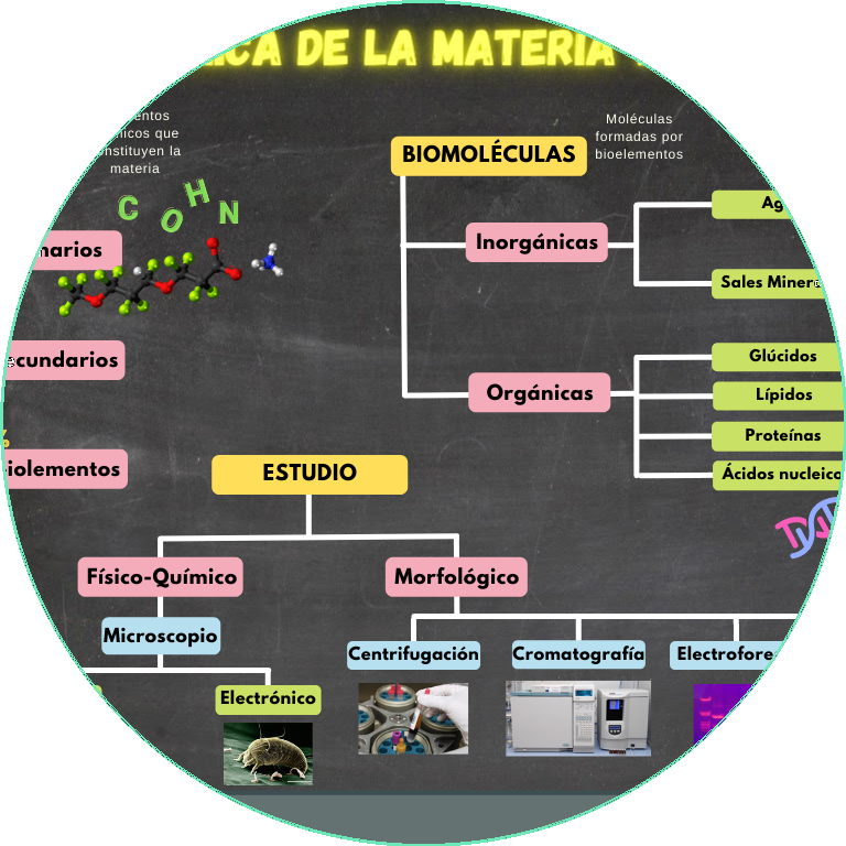 Esquema de Química de la Materia Viva y su Estudio de Biología de 2º Bachillerato
